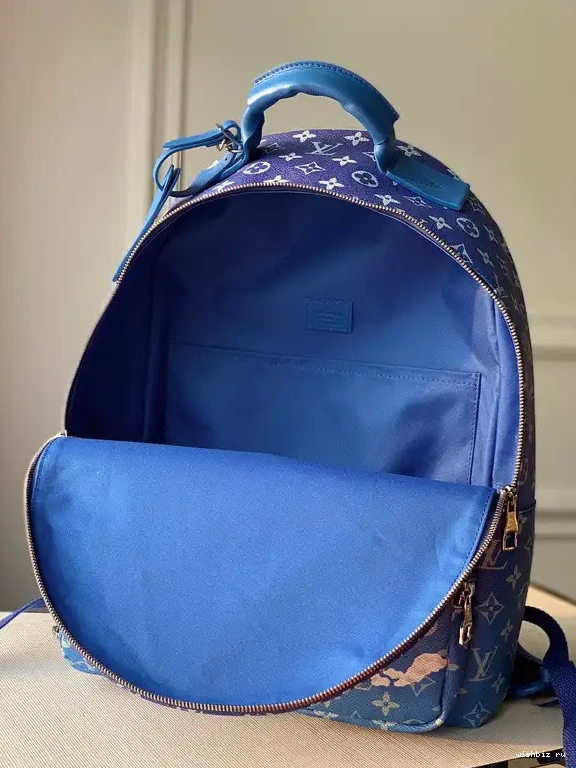 WIS BACKPACK VUITTON LOUIS 0519